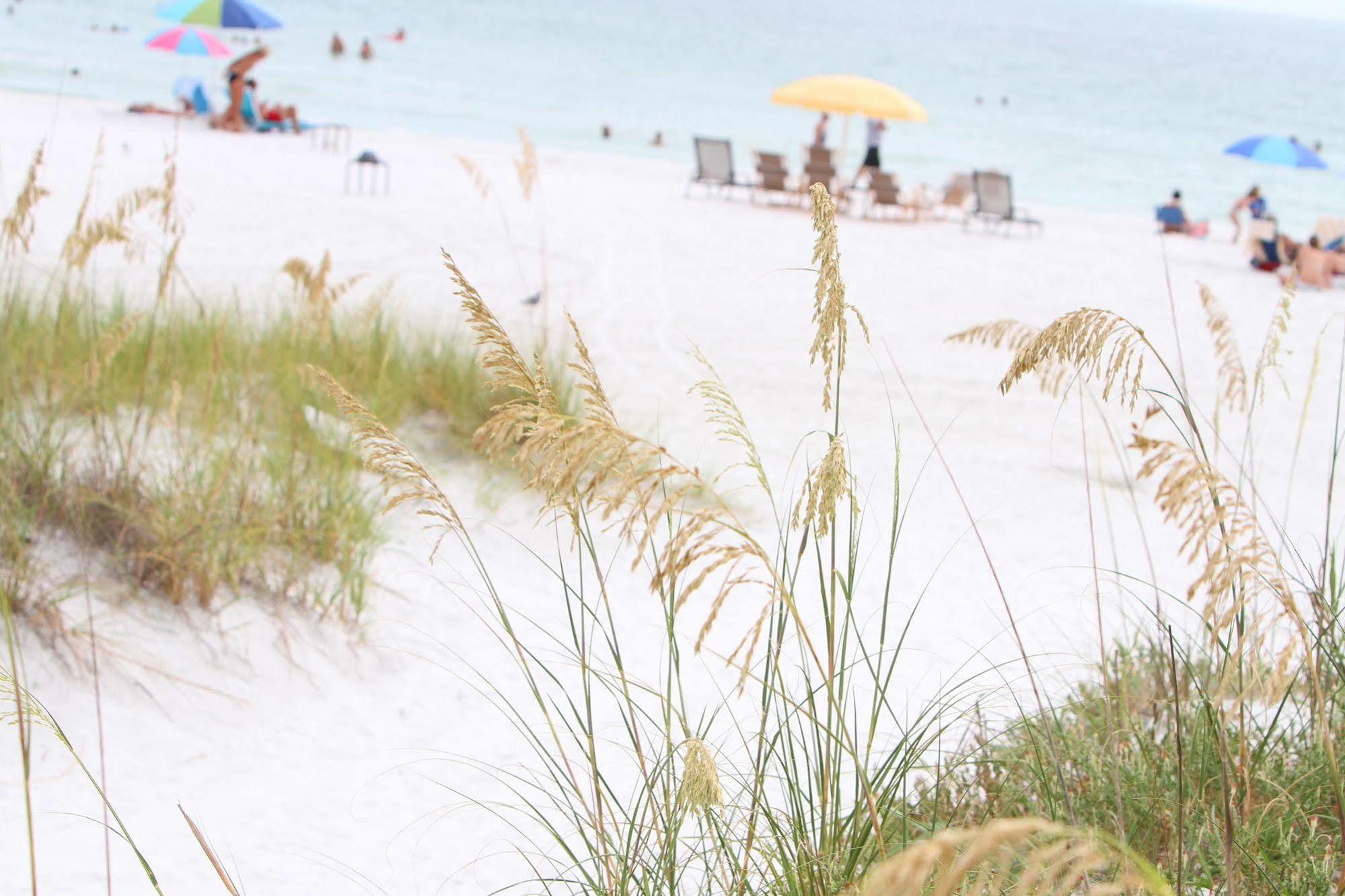Beach Club At Siesta Key By Rva Eksteriør billede